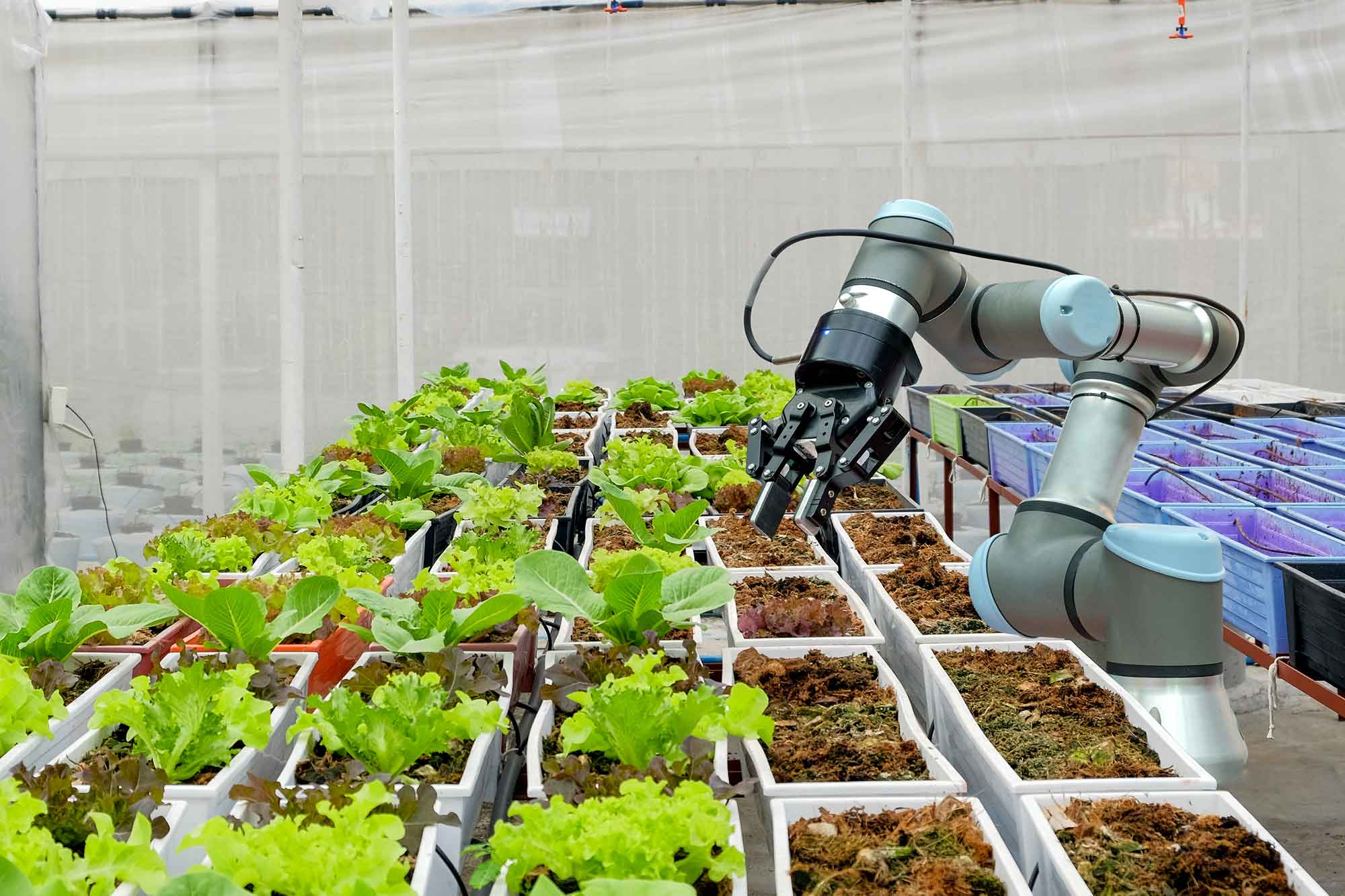 Wat Verdient Een Monteur In De Tuinbouw?
