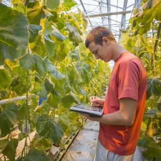 Technisch Medewerker Kassen